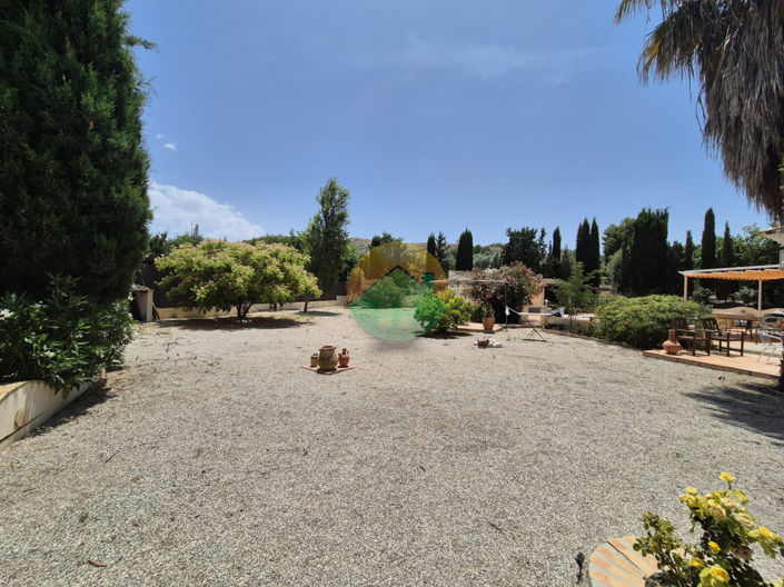 Image No.4-Finca de 3 chambres à vendre à Calasparra