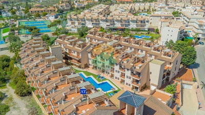 aguilas04-6864f4f79874b