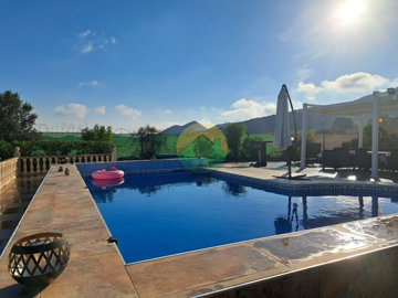 pal10-69021e51a5b05