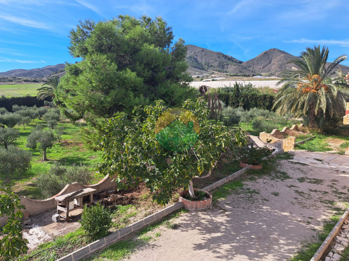 Image No.14-4 Bed Finca for sale