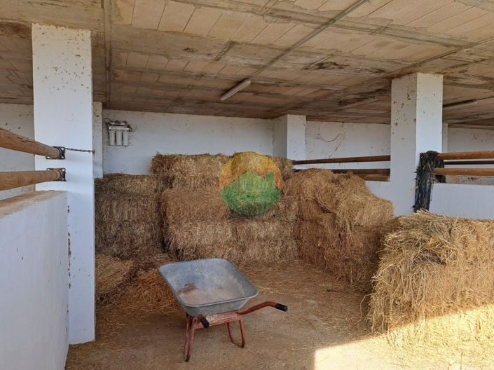 Image No.21-4 Bed Finca for sale