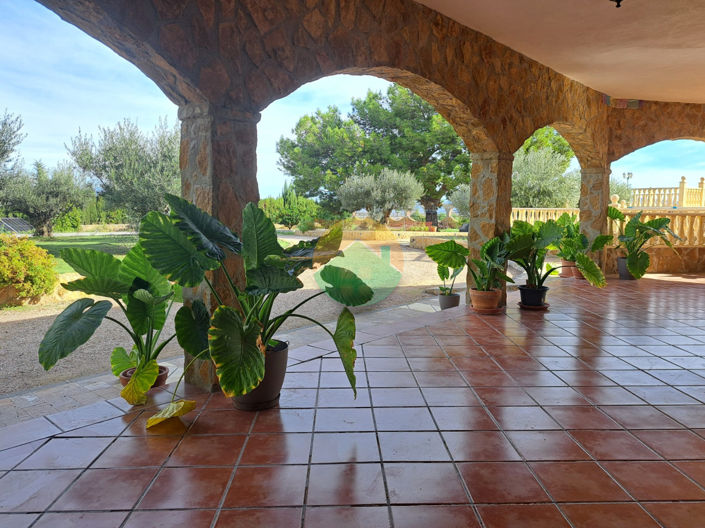 Image No.24-4 Bed Finca for sale