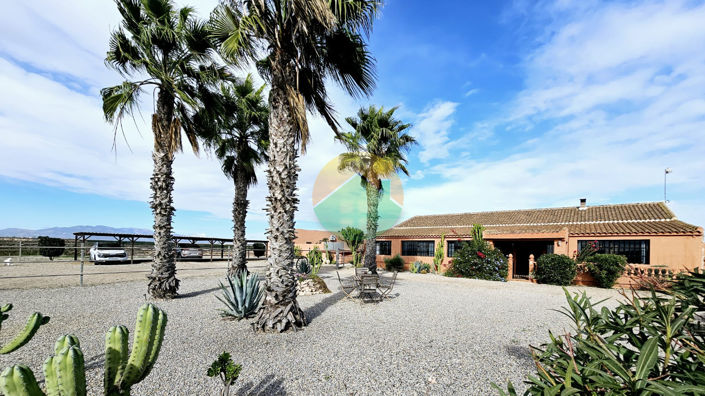 Image No.1-6 Bed Finca for sale