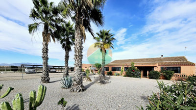 lcan08-691d9927f16e6