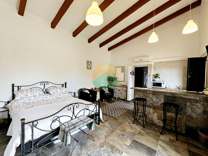 Image No.17-6 Bed Finca for sale