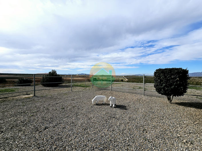 Image No.26-6 Bed Finca for sale
