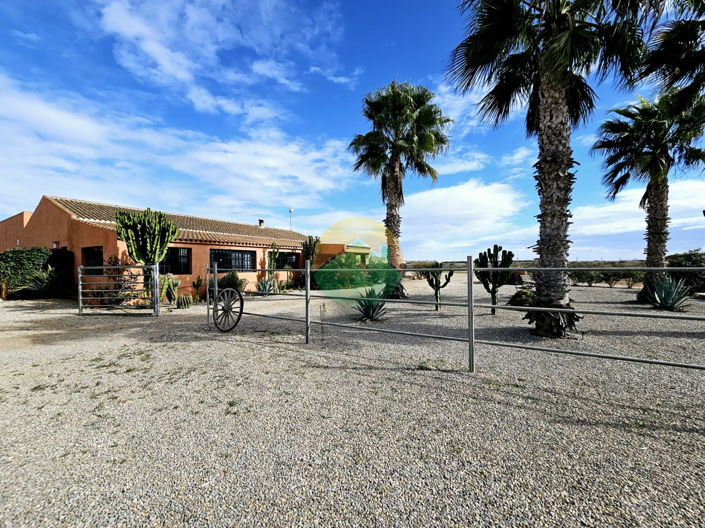 Image No.8-6 Bed Finca for sale