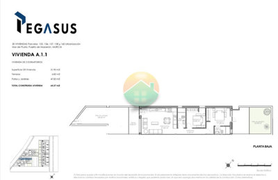 alampegasus-6917148ae54d2