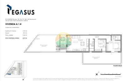 alampegasus-6917148b4944d