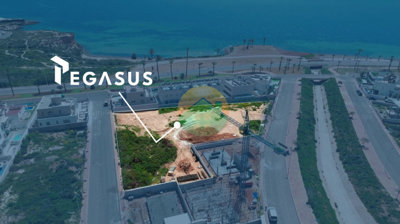 alampegasus-69171471af2b8