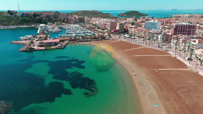 alampegasus-691714771e8b3