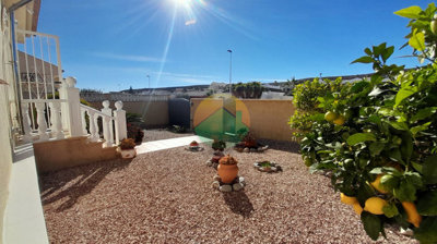 clad433-69297d8c09af0