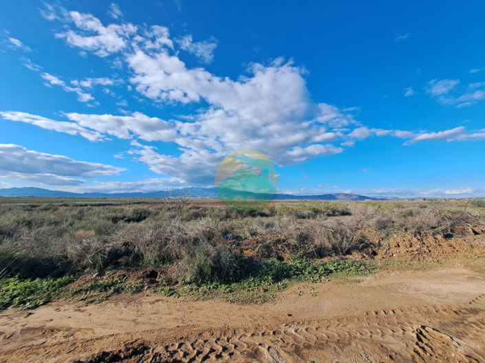 Image No.4-Finca de 5 chambres à vendre à Alhama de Murcia