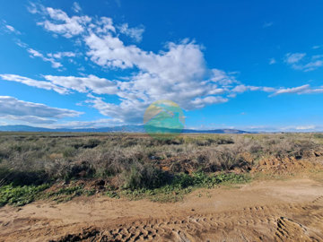 alha16-6953f4a110d5b