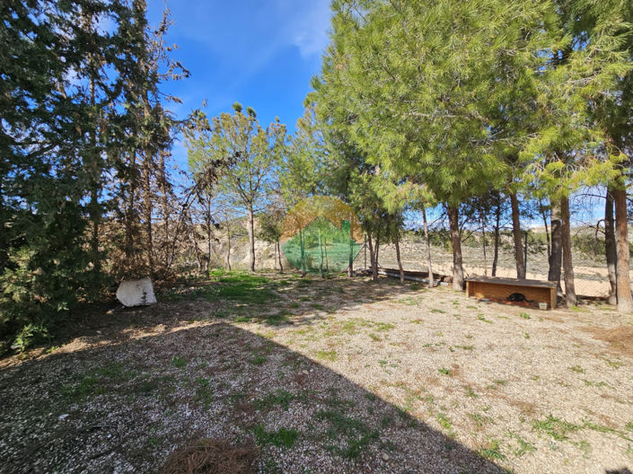 Image No.6-Finca de 4 chambres à vendre à Librilla