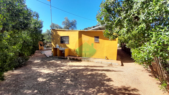 Image No.3-2 Bed Finca for sale