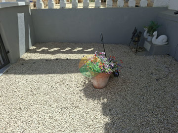 clad444-69e6298a59a84