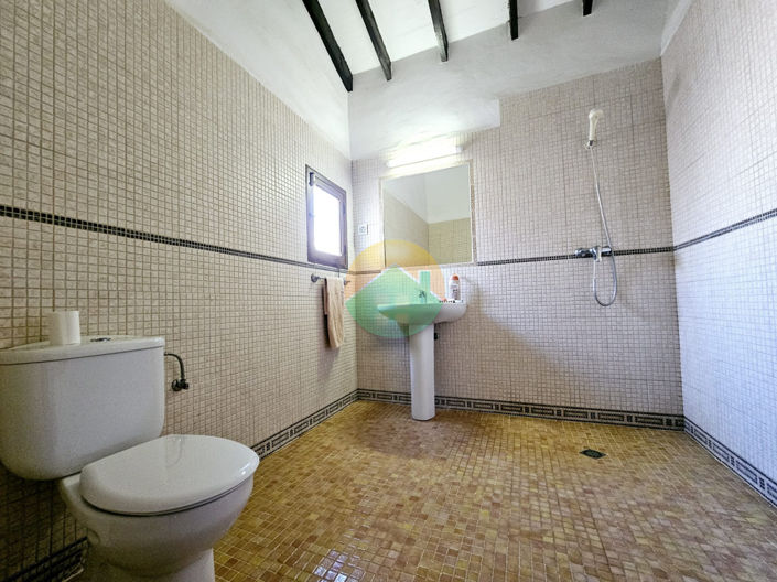 Image No.15-6 Bed Finca for sale