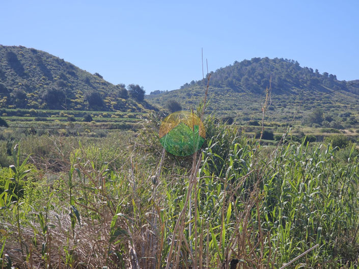 Image No.26-6 Bed Finca for sale