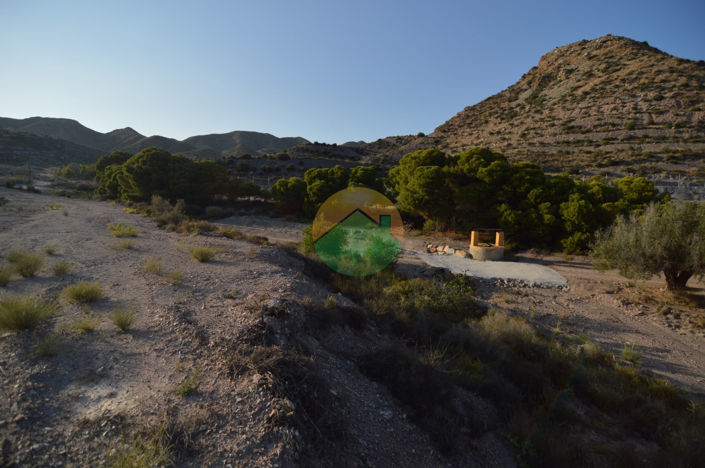 Image No.15-3 Bed Finca for sale