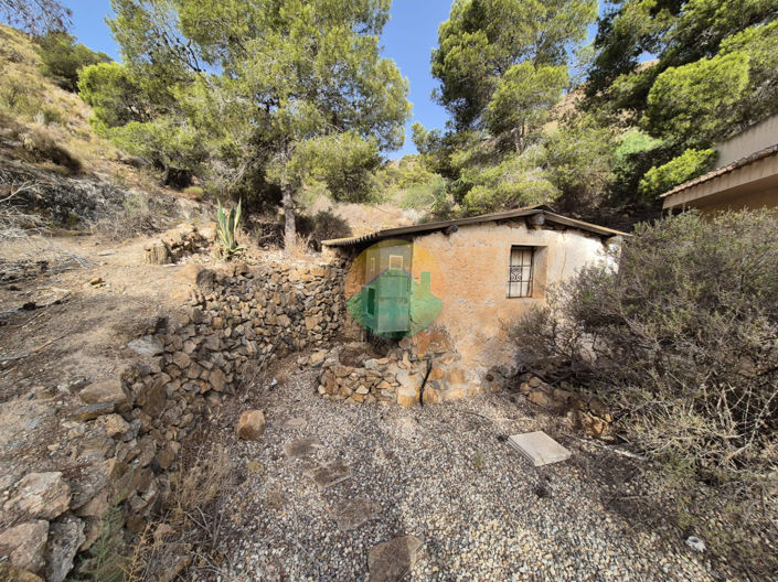 Image No.16-4 Bed Finca for sale