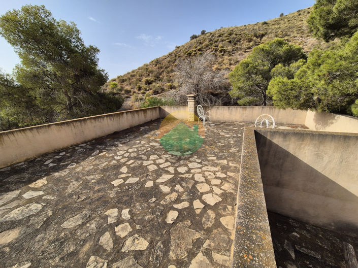 Image No.19-4 Bed Finca for sale