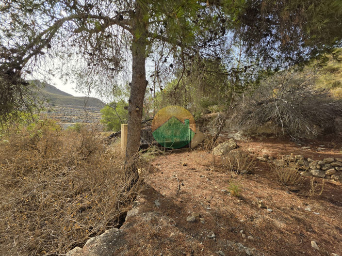 Image No.21-4 Bed Finca for sale