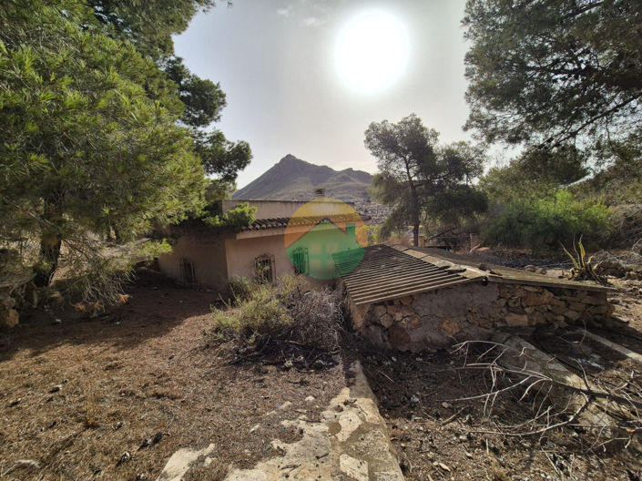 Image No.22-4 Bed Finca for sale