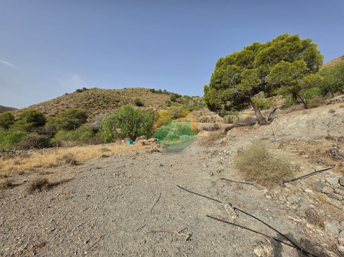 Image No.24-4 Bed Finca for sale