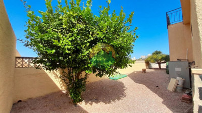 rob456-6aa3bb1e61458