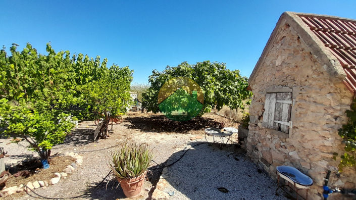 Image No.24-4 Bed House for sale