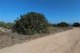 Image No.1-Terre à vendre à Famagusta