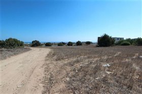 Image No.3-Terre à vendre à Famagusta