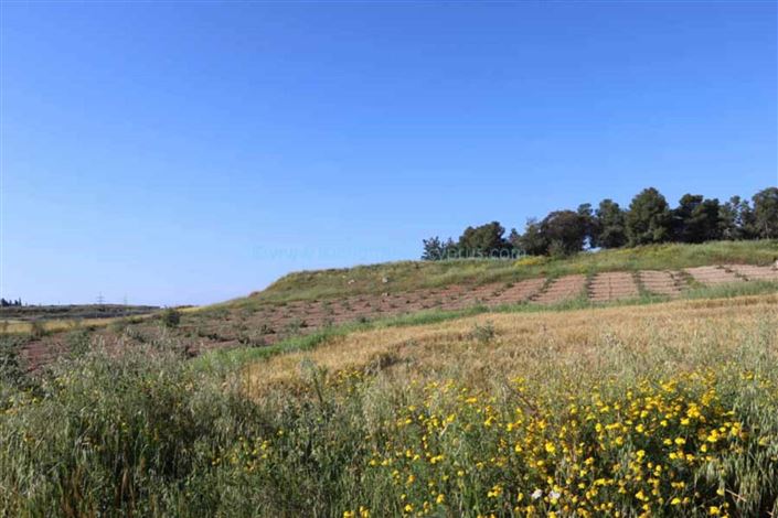 Image No.1-Land for sale