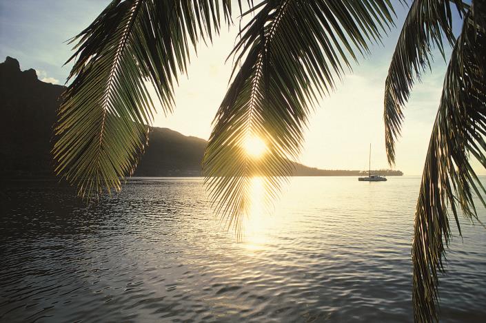 Image No.24-1 Bed Apartment for sale