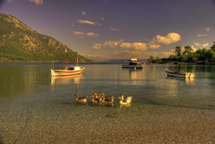 Image No.30-4 Bed Duplex for sale