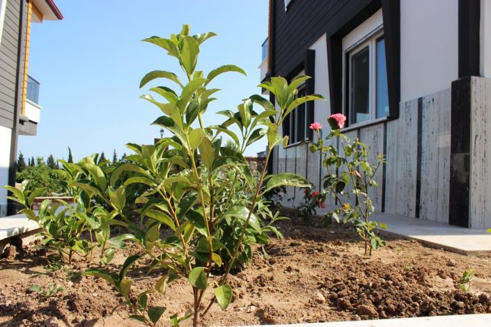 Image No.10-3 Bed House/Villa for sale