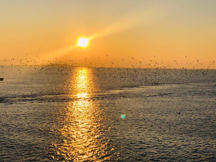 Image No.11-1 Bed Apartment for sale