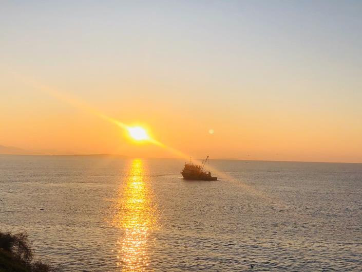 Image No.12-1 Bed Apartment for sale