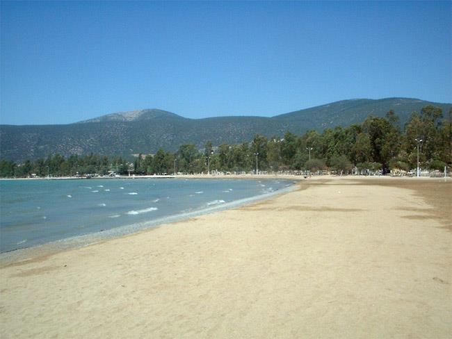 Image No.7-Land for sale