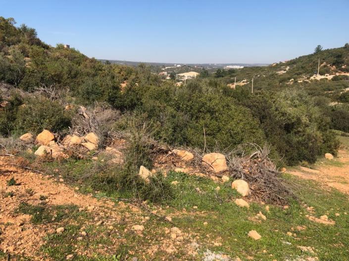 Image No.3-Land for sale