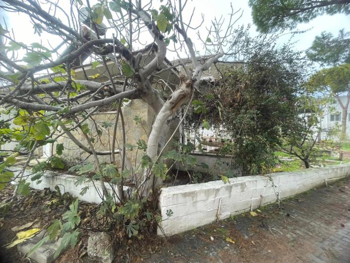 Image No.10-Maison de 3 chambres à vendre à Altinkum