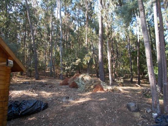 Image No.11-3 Bed Bungalow for sale