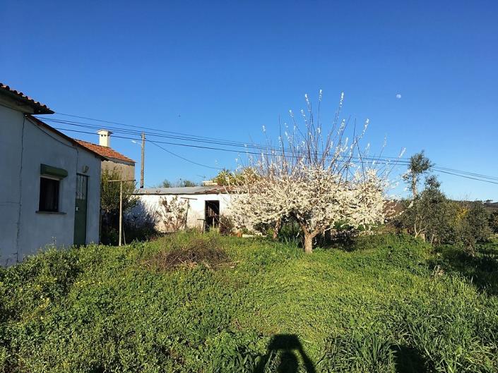 Image No.8-3 Bed Country House for sale