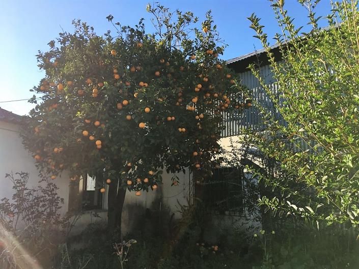 Image No.25-3 Bed Country House for sale