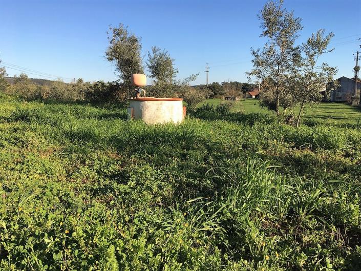 Image No.26-3 Bed Country House for sale