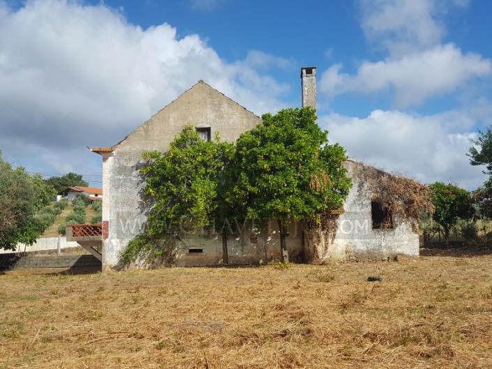 Image No.3-Maison de village de 2 chambres à vendre à Ferreira do Zêzere