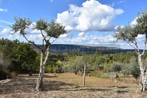 Image No.6-5 Bed Villa for sale