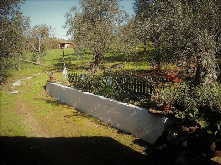 Image No.8-6 Bed Country Property for sale