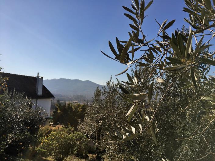 Image No.9-6 Bed Country Property for sale